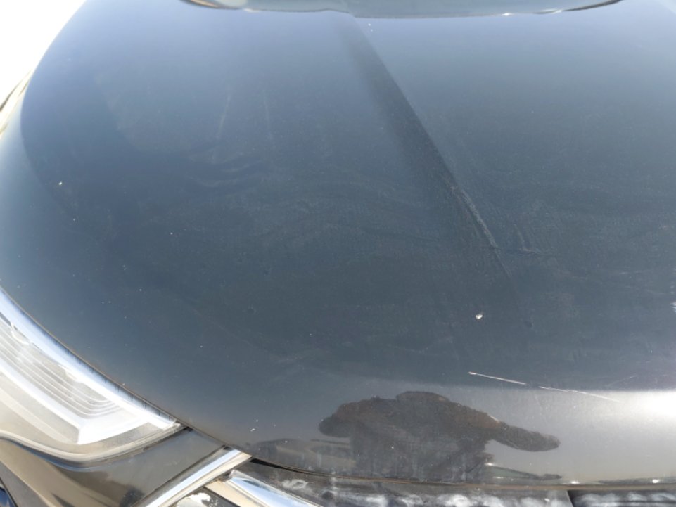 هافال جوليان اكتيف رياضيه  2023 image