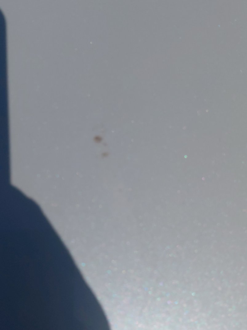 Toyota Yaris YX 2024 image