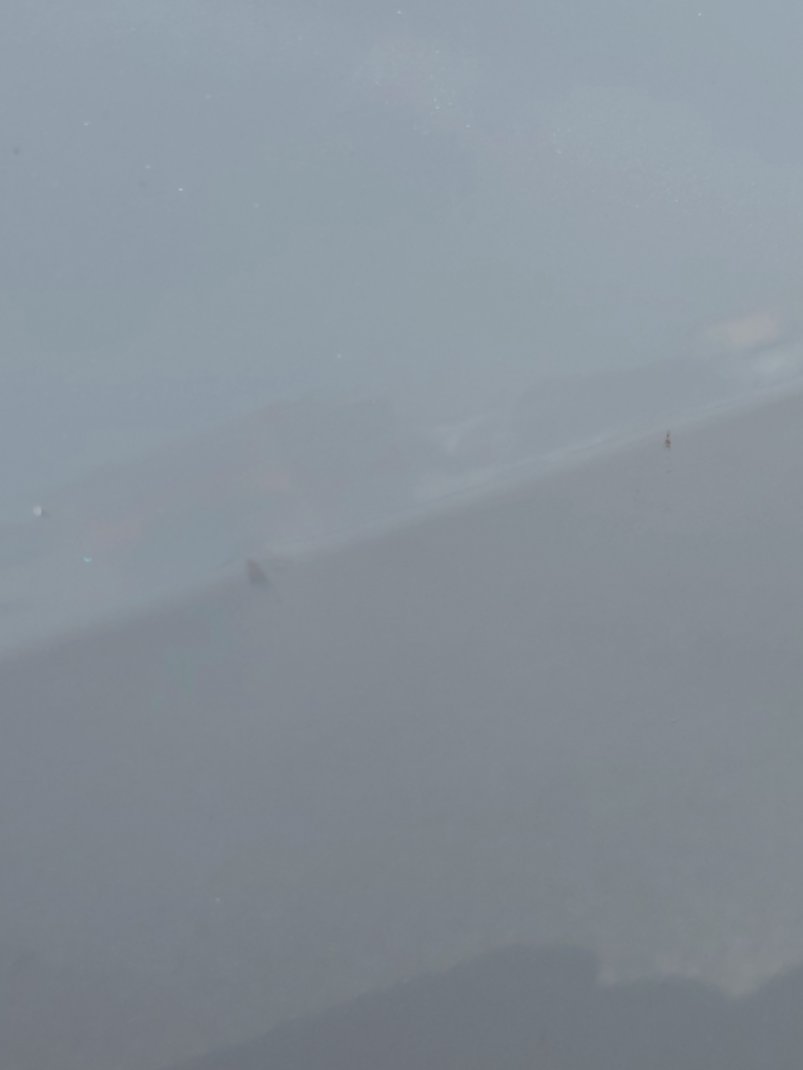 Toyota Yaris YX 2024 image