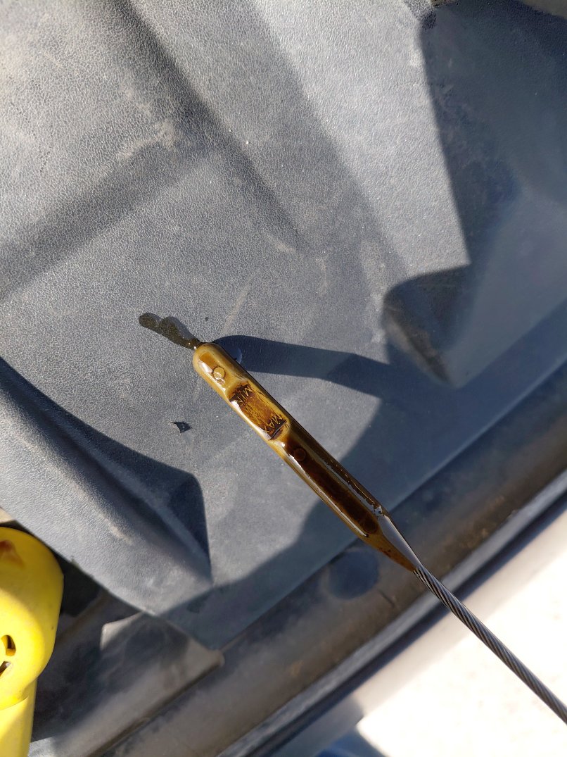 فورد فوكس امبينتي 2018 image