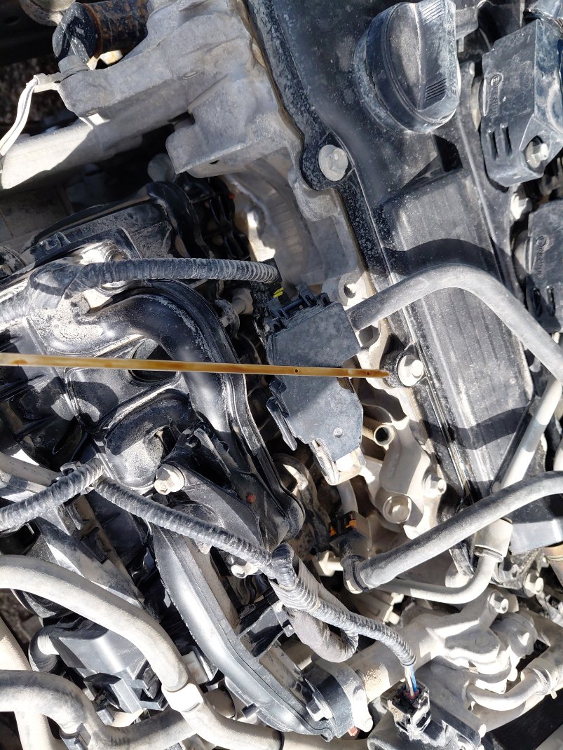 تويوتا كورولا  2022 image