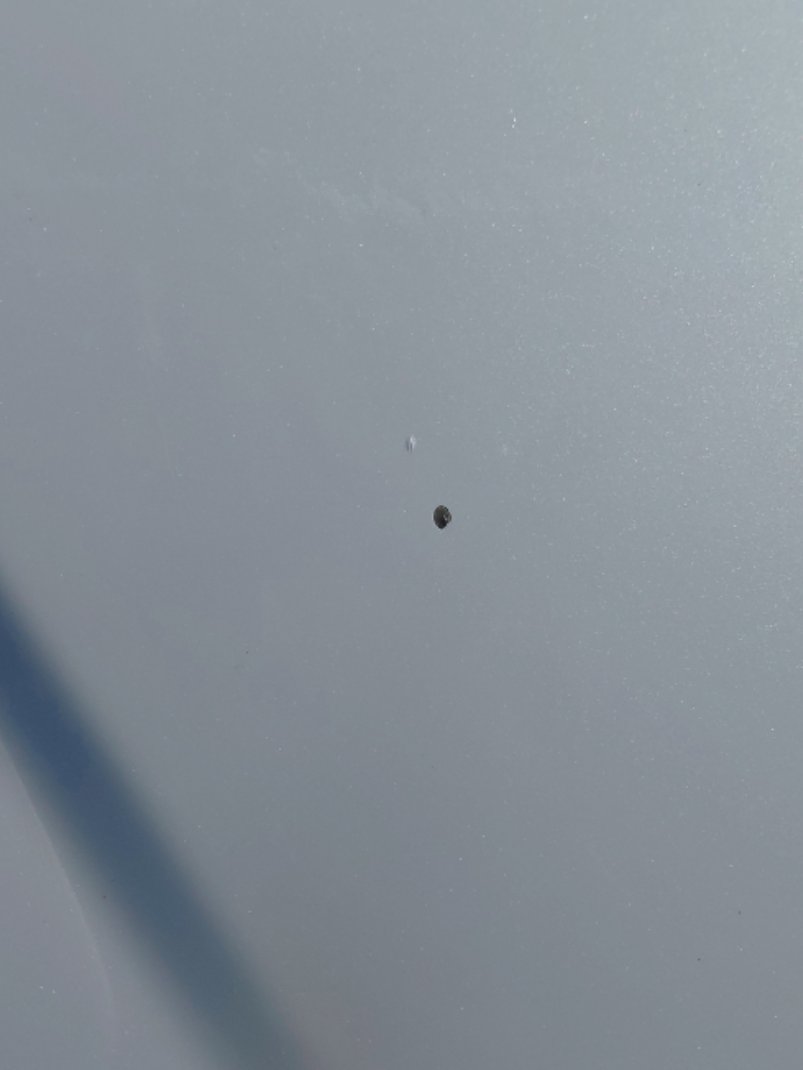 تويوتا كورولا  2022 image