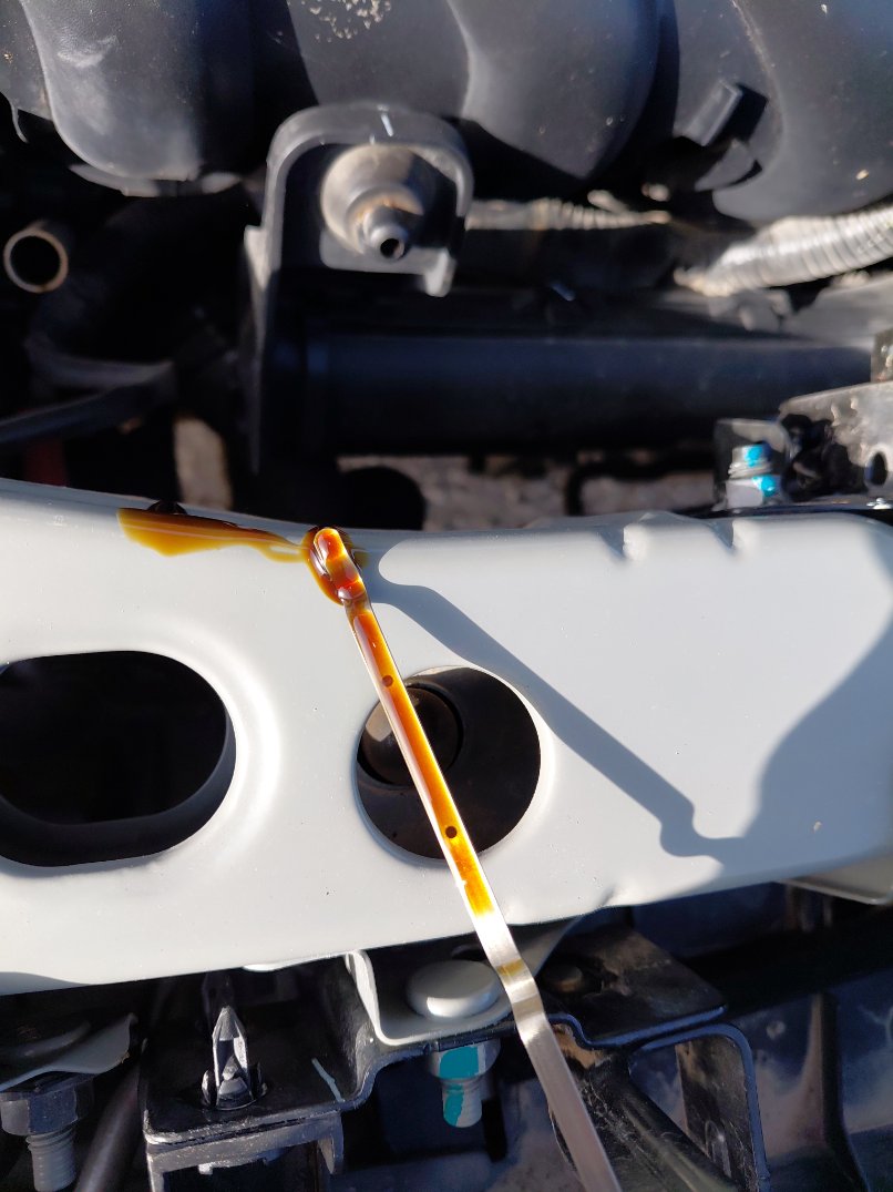 نيسان صني SV 2024 image