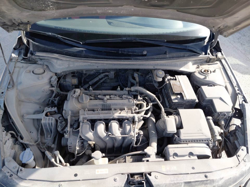 هيونداي إلنترا FLEET  2021 image