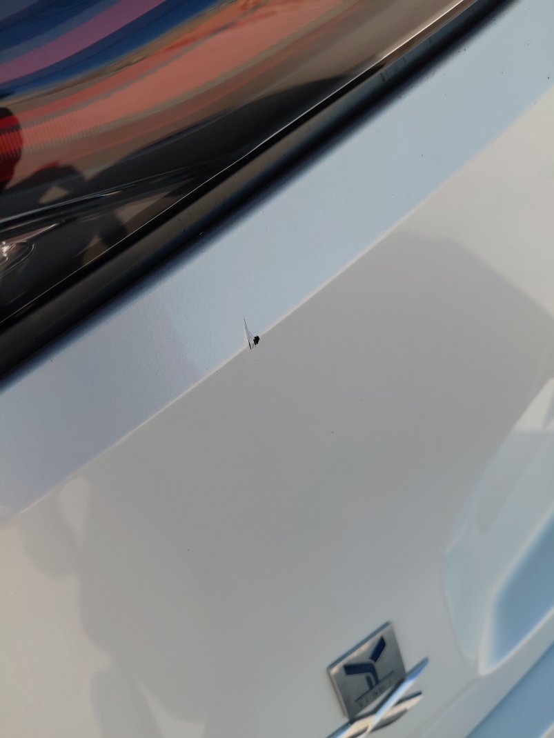 ايسوزو MUX  2023 image