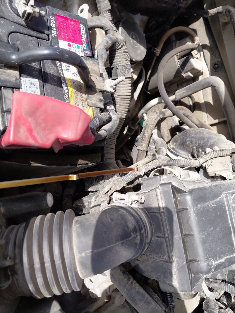 تويوتا راش STD -  رياضية 2023 image