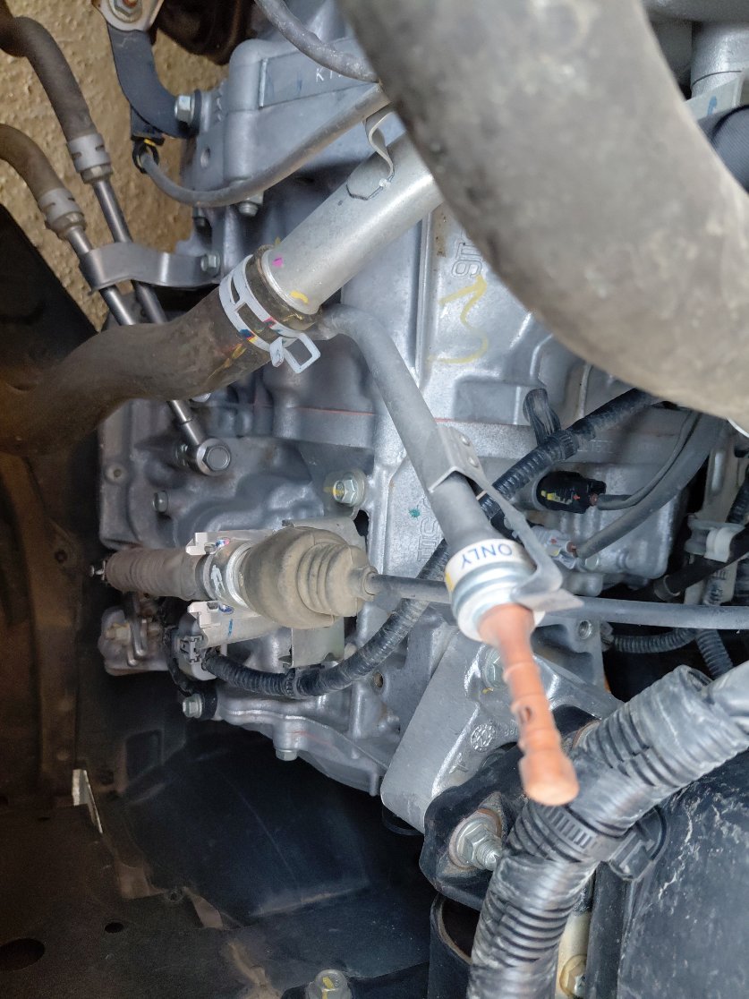 Suzuki Ciaz GL 2023 image