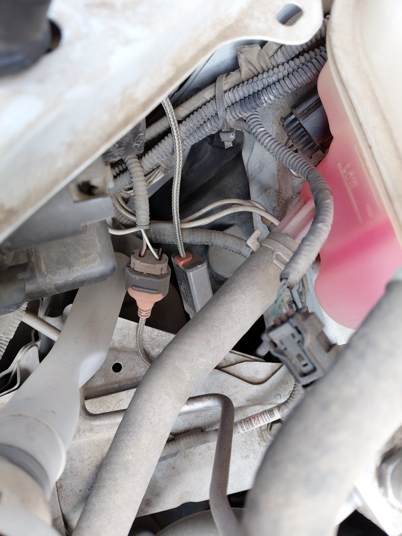 Toyota Corolla XLI EXECUTIVE M/R  2023 image