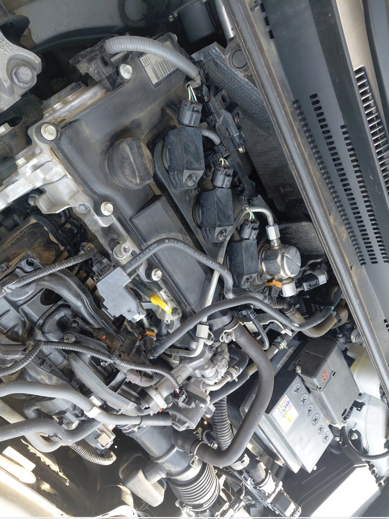 Toyota Corolla XLI  2024 image