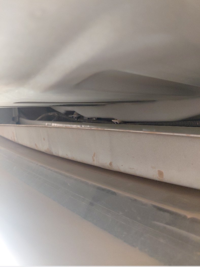 Toyota Corolla XLI  2024 image