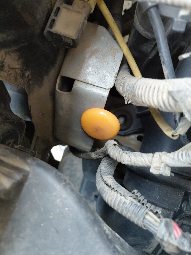 Hyundai Accent STD 2020 image