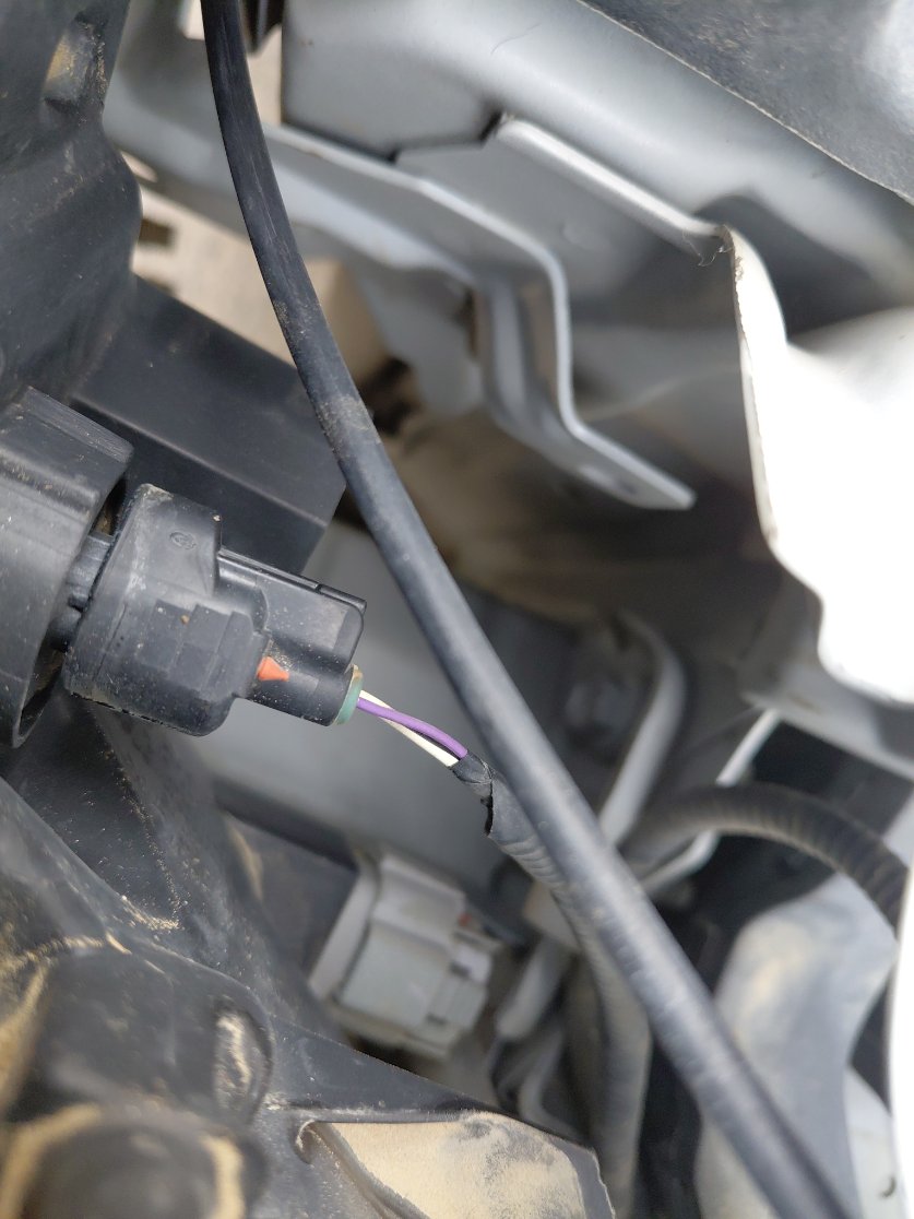 تويوتا كورولا XLI 2021 image