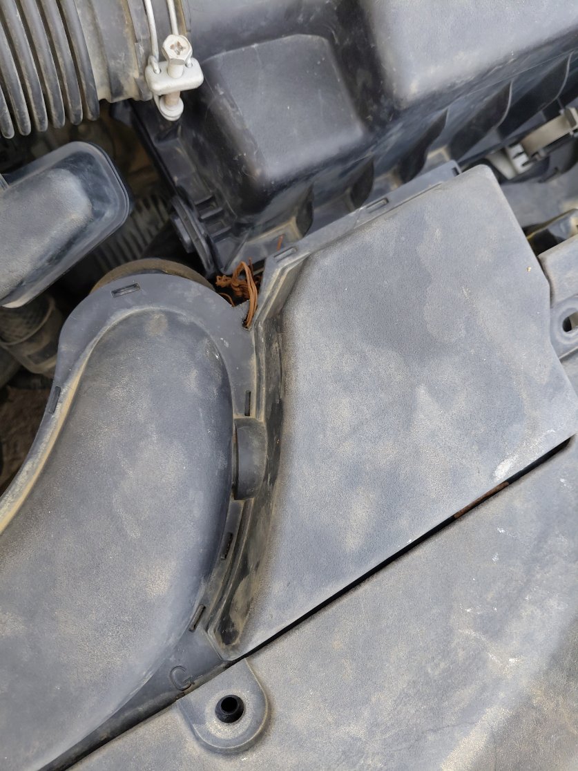 تويوتا كورولا XLI 2021 image