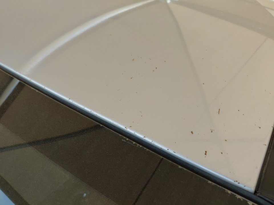 Hyundai Accent STD 2020 image