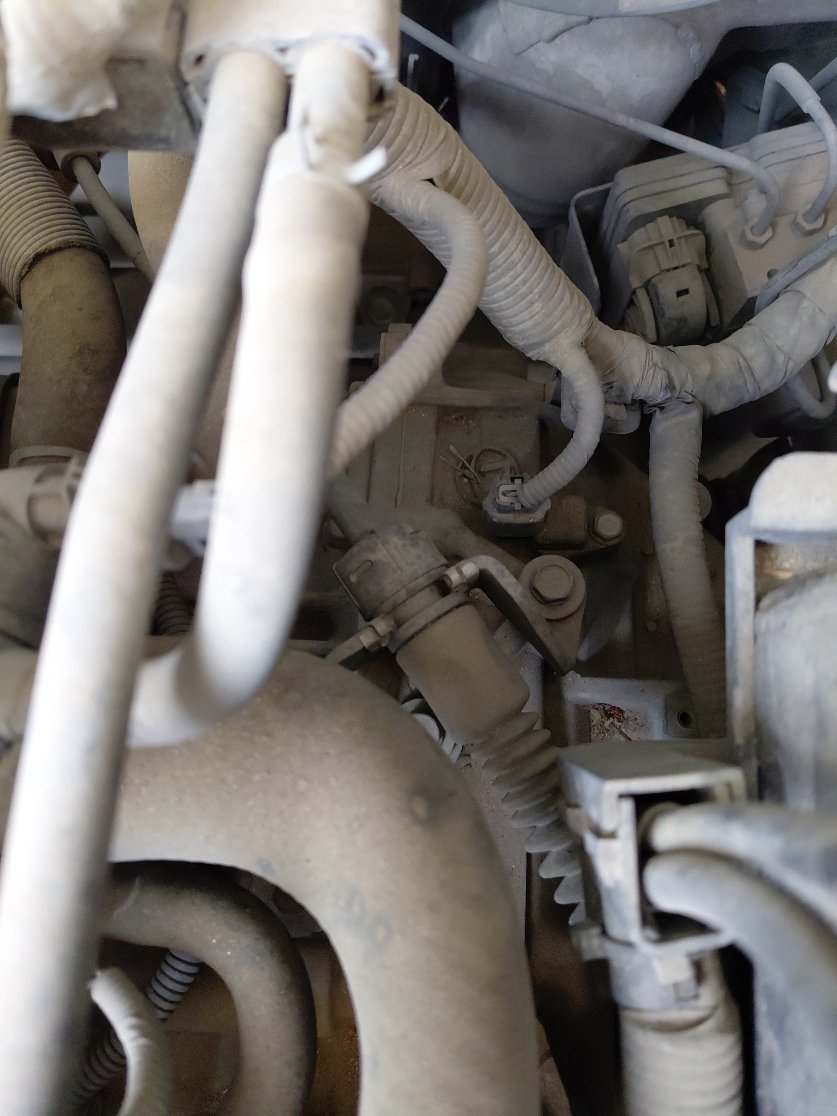 KIA Pegas LX 2020 image