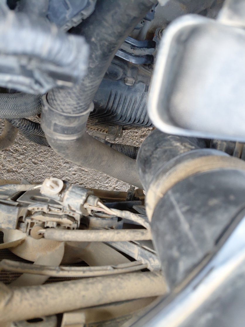 تويوتا كورولا XLI 2021 image