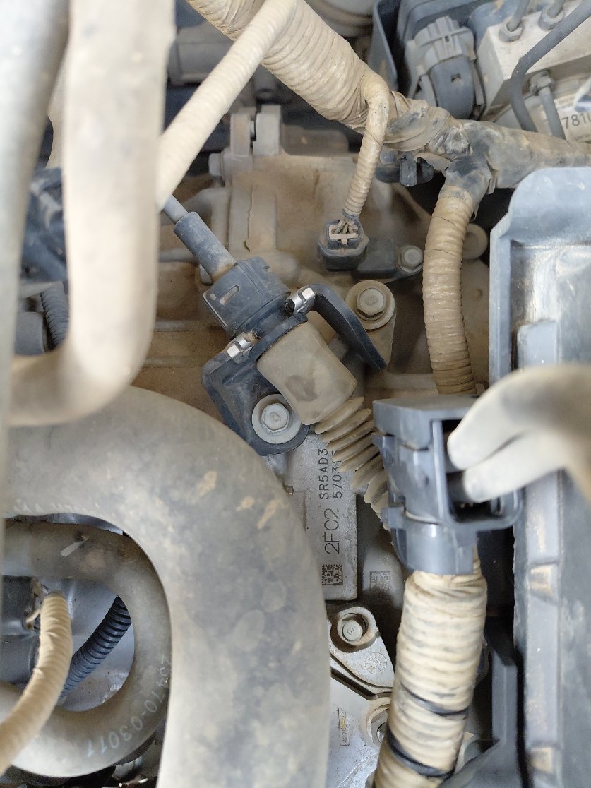 KIA Pegas GL 2024 image