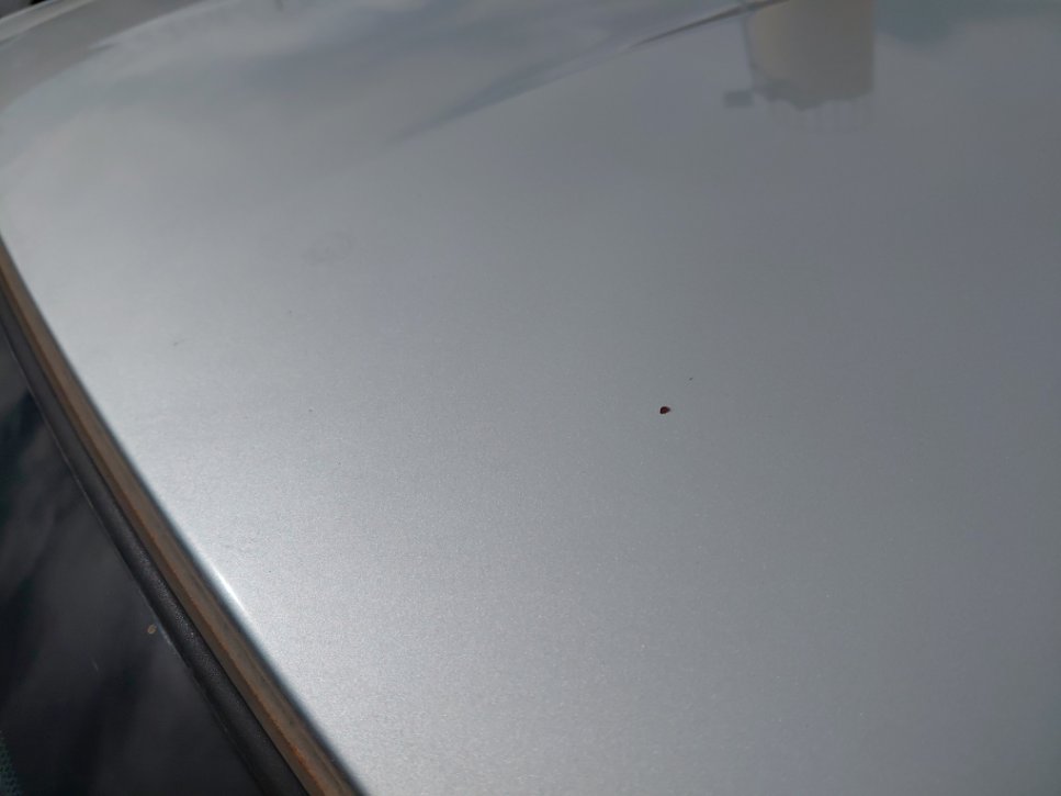 نيسان صني FLEET 2021 image