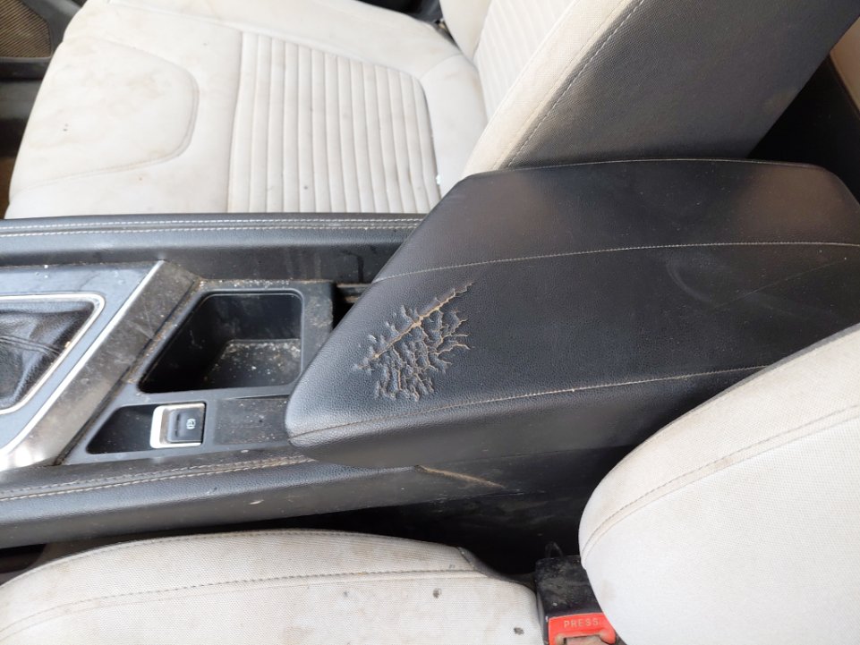 بايك اكس 35 اي ال رياضية  2022 image