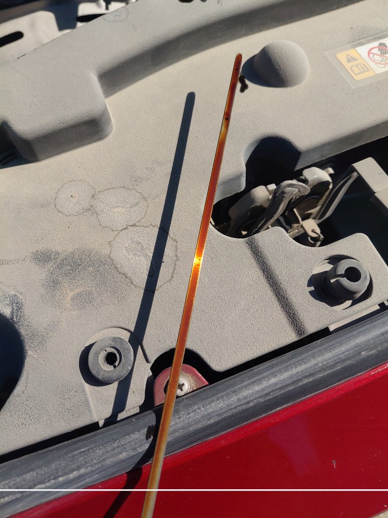 Toyota Yaris Y PLUS 2023 image