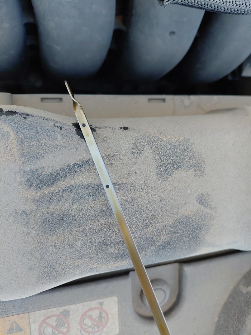 Toyota Corolla XLI EXE 2024 image