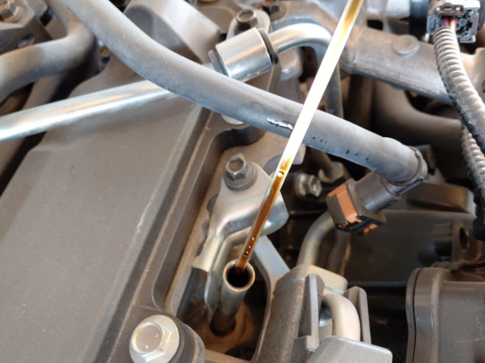 تويوتا كورولا XLI EXE 2024 image