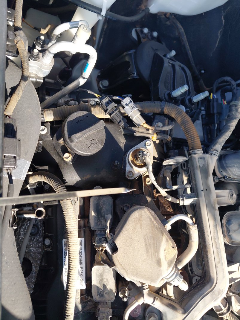 كيا تيلورايد EX 2021 image