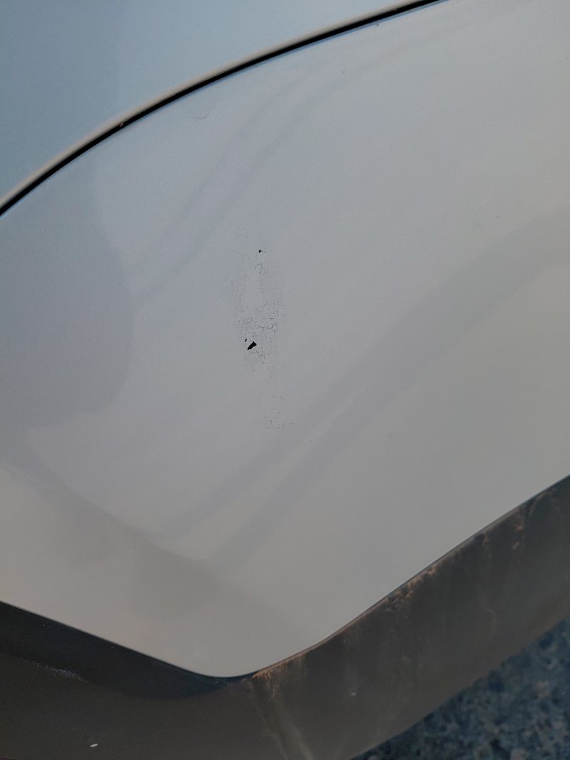 كيا تيلورايد EX 2021 image