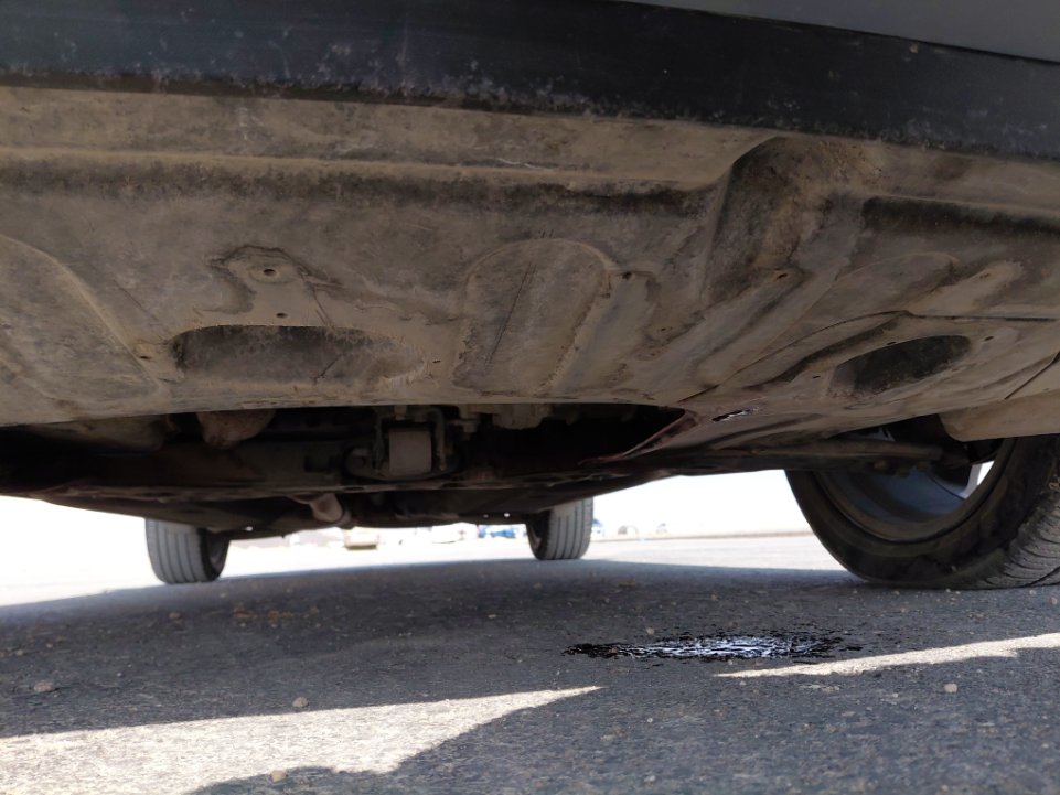 كيا تيلورايد EX -  2021 image