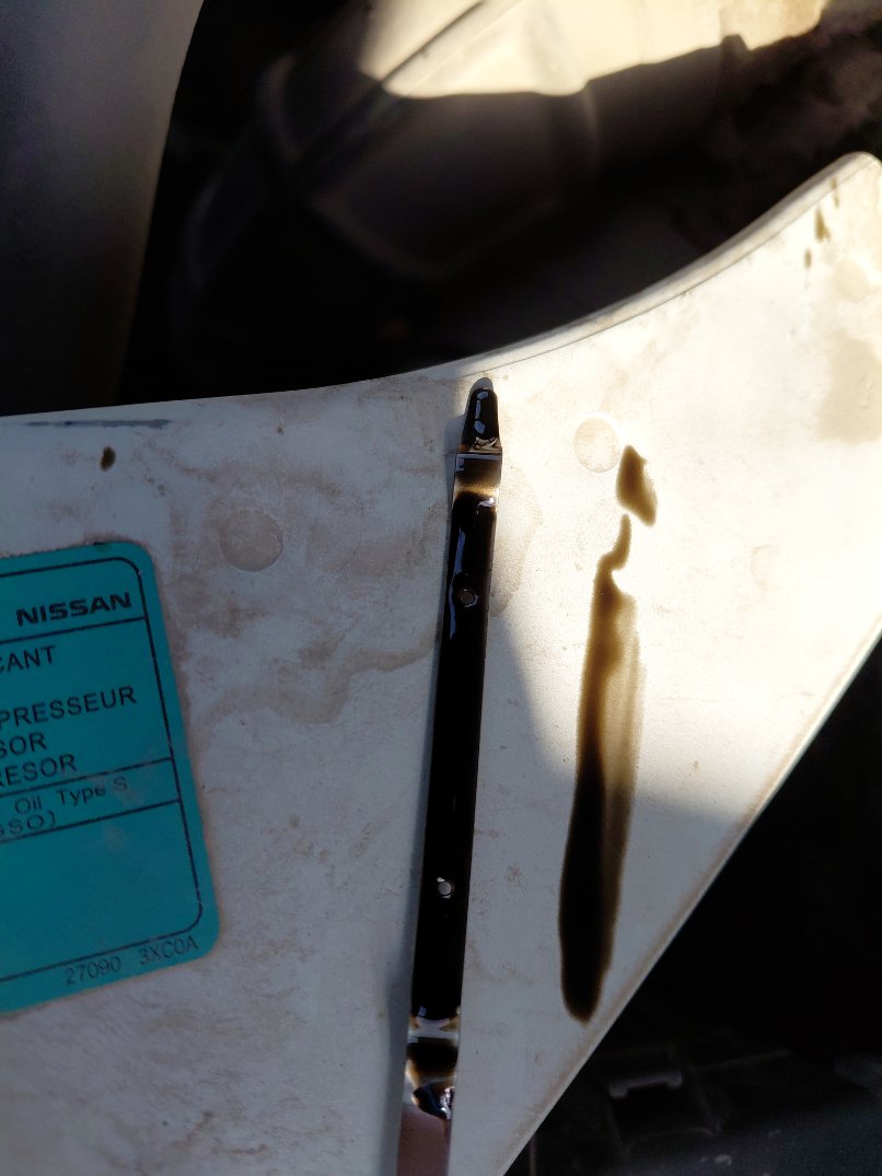 نيسان أورفان  2020 image