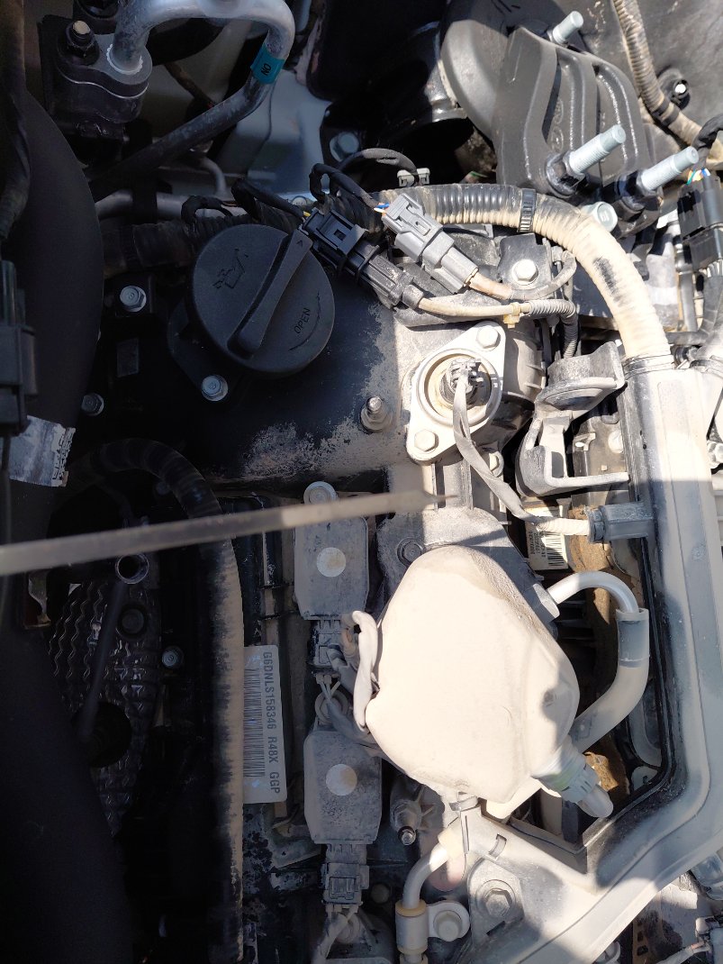 كيا تيلورايد EX -  2021 image