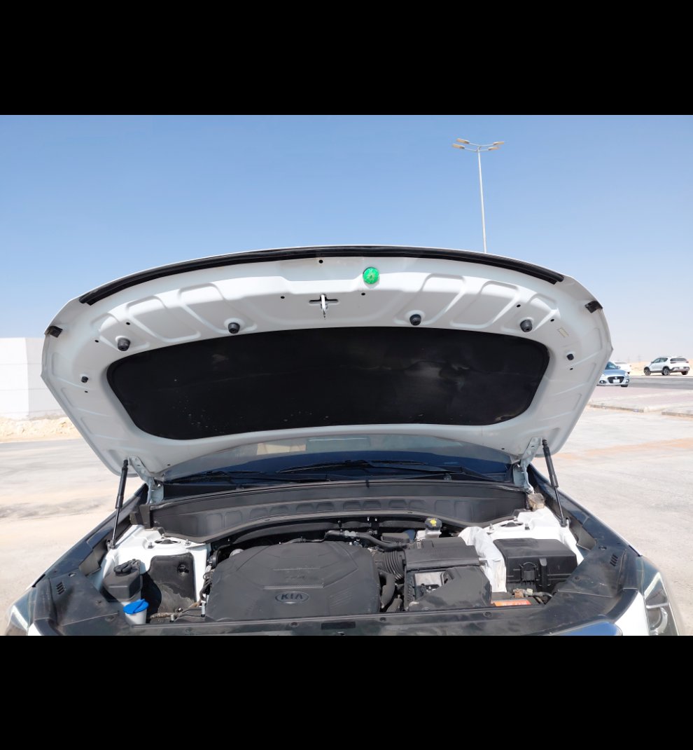كيا تيلورايد EX -  2021 image