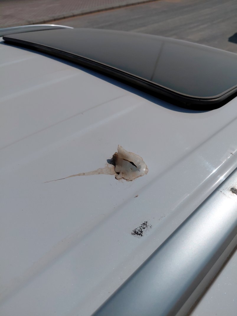 كيا تيلورايد EX -  2021 image