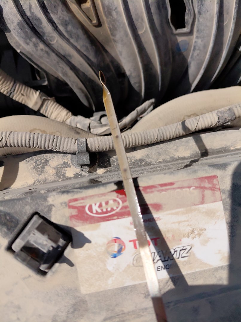 KIA Sportage LX 2022 image