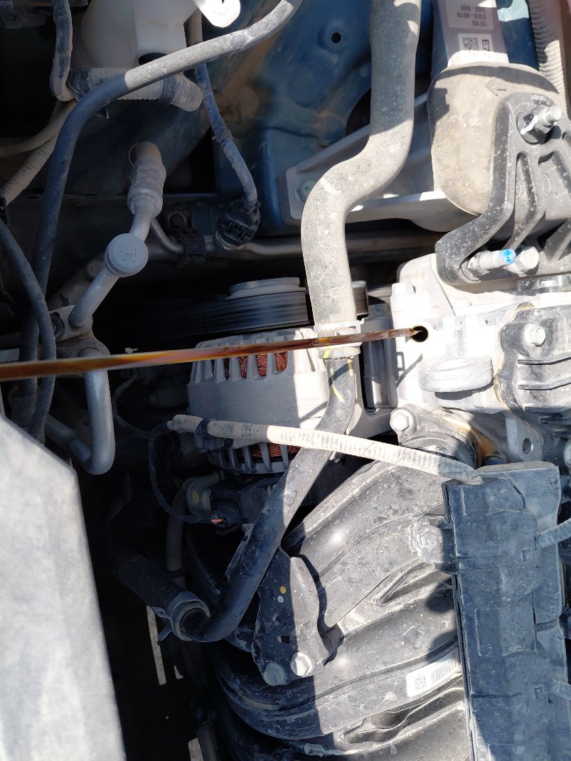 كيا سبورتاج QLE LX 4WD 2023 image