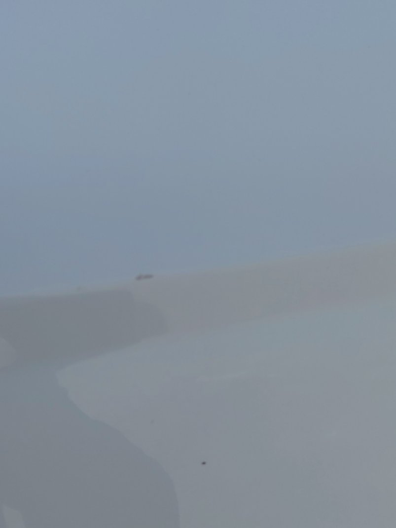 تويوتا كامري  2022 image