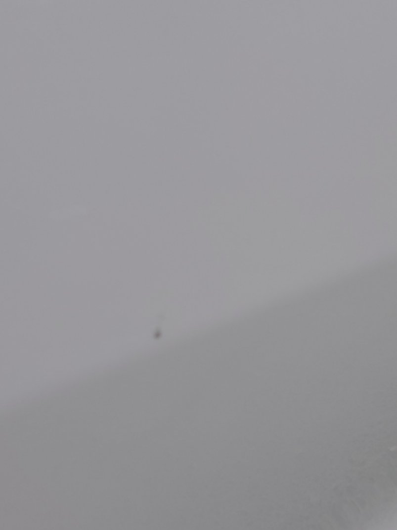 تويوتا كامري  2022 image