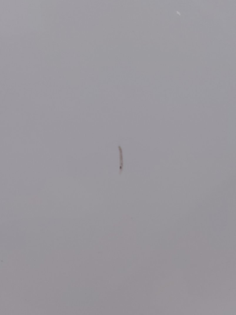 تويوتا كامري  2022 image