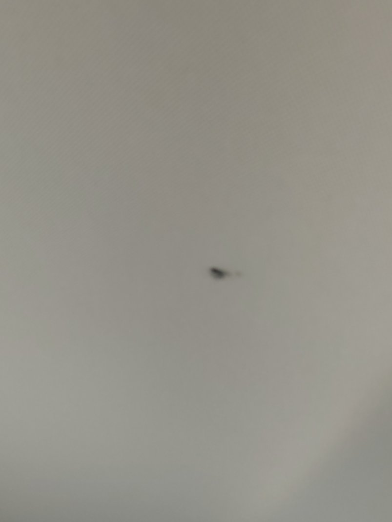 تويوتا كامري  2022 image