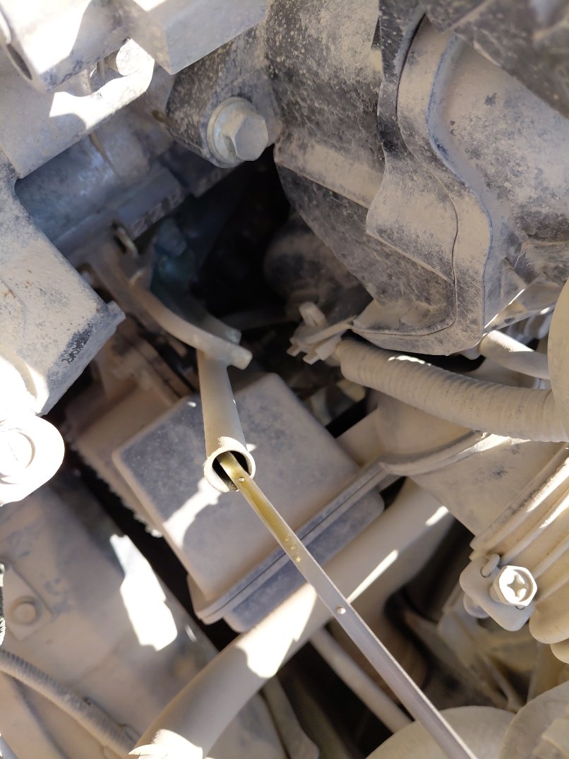 Toyota Corolla Cross AWD 2024 image