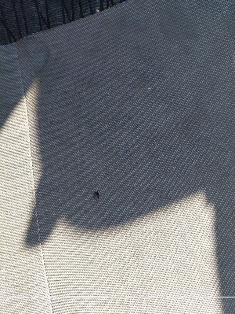 كيا بيجاس LX FWD 2024 image