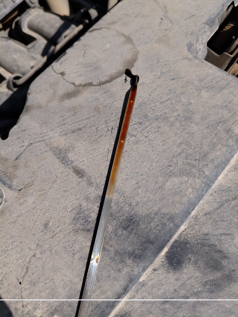 KIA Seltos SP2I LX FWD  2023 image