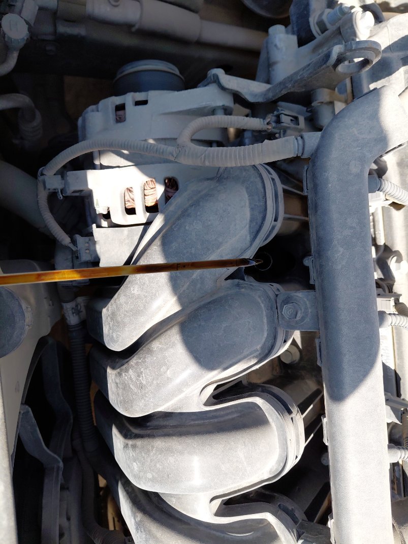 كيا بيجاس LX FWD 2023 image