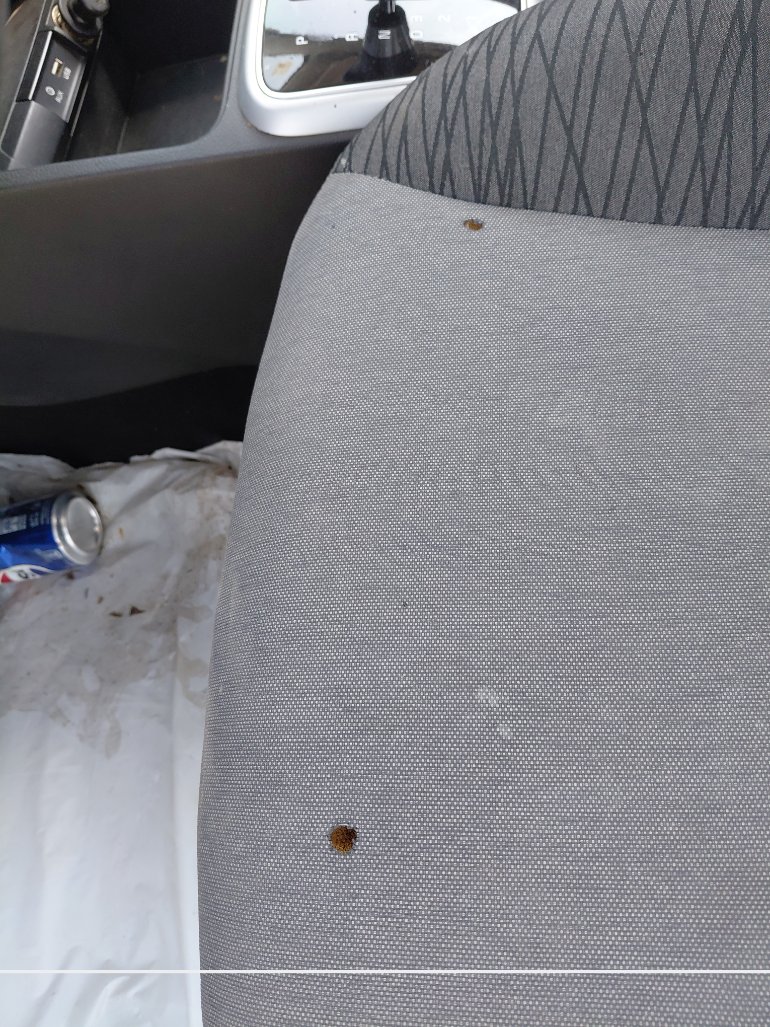 كيا بيجاس LX FWD 2022 image