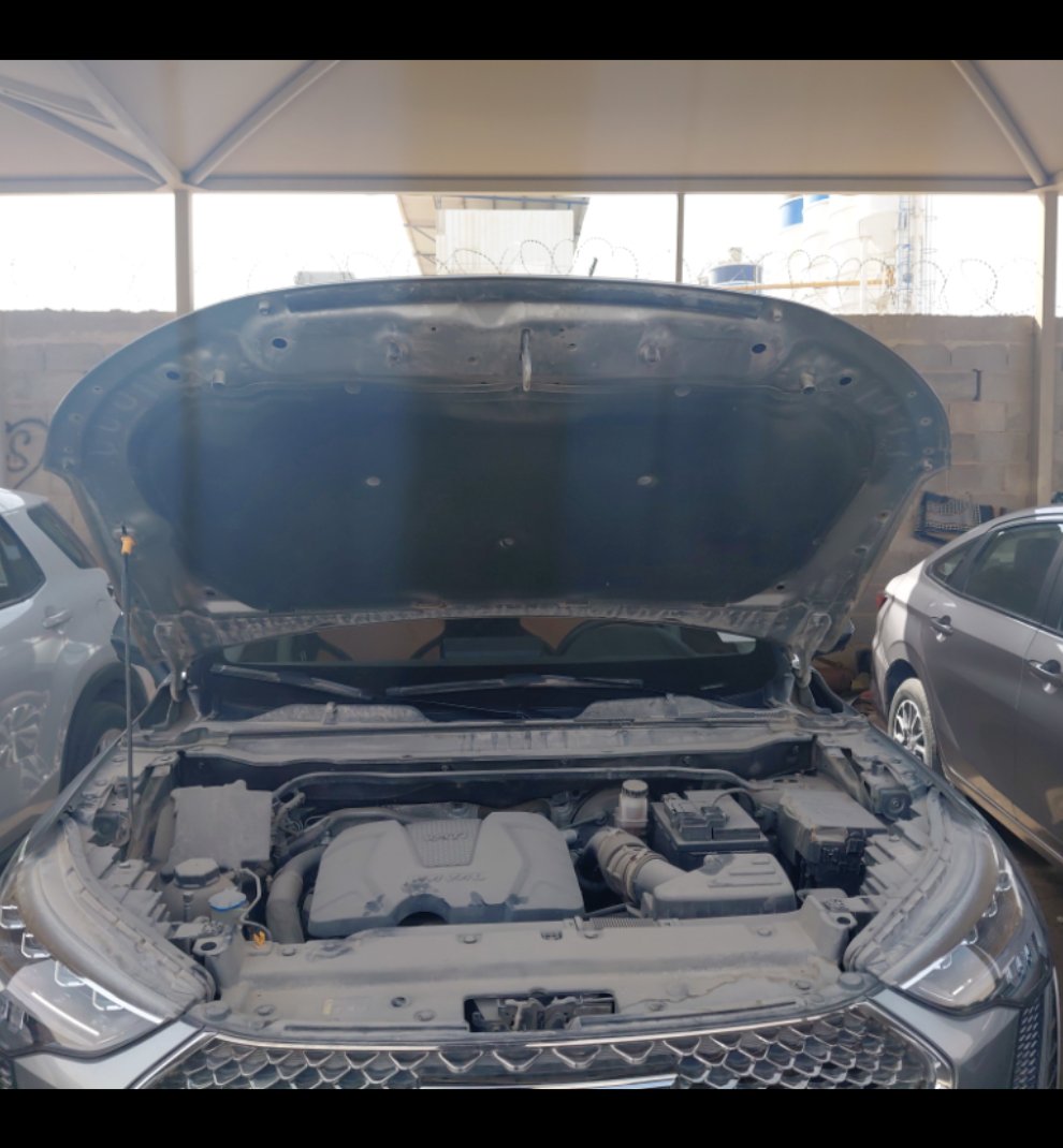 هافال جوليان أكتيف 2024 image