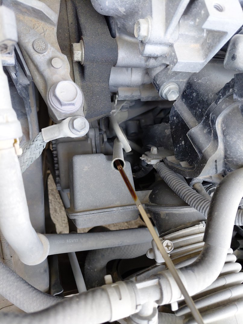 Toyota Corolla Cross LE HEV 2023 image