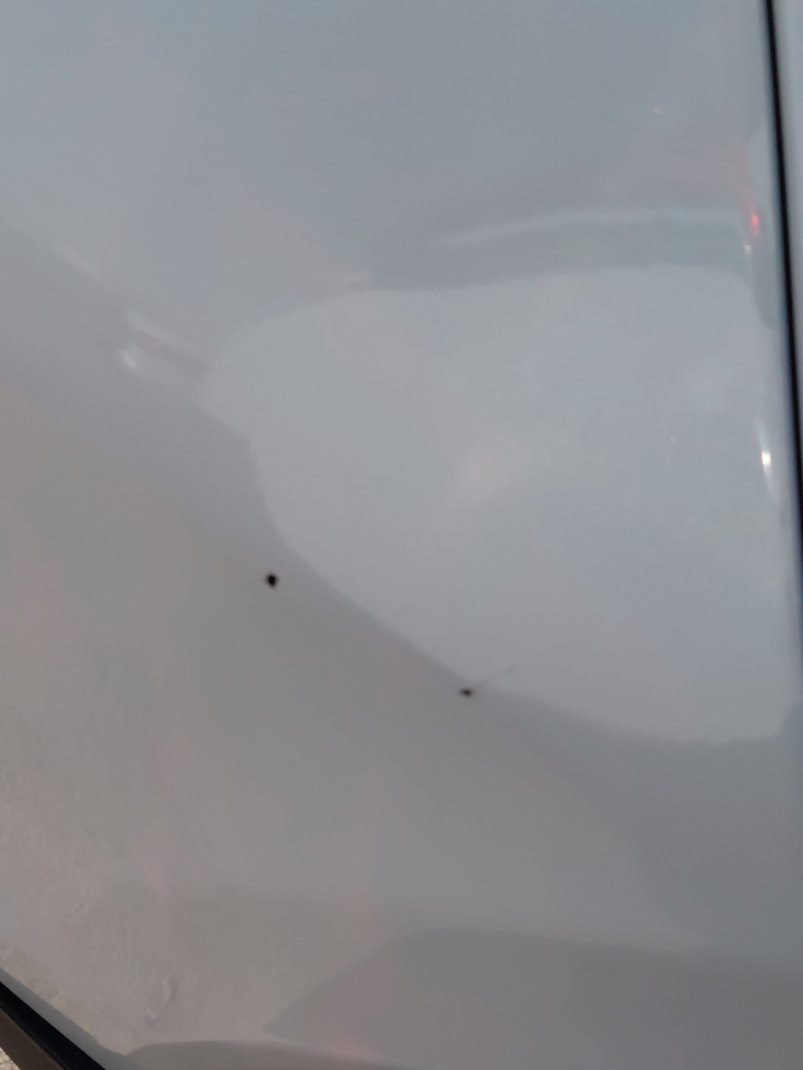 Toyota RAIZE XLE 2024 image