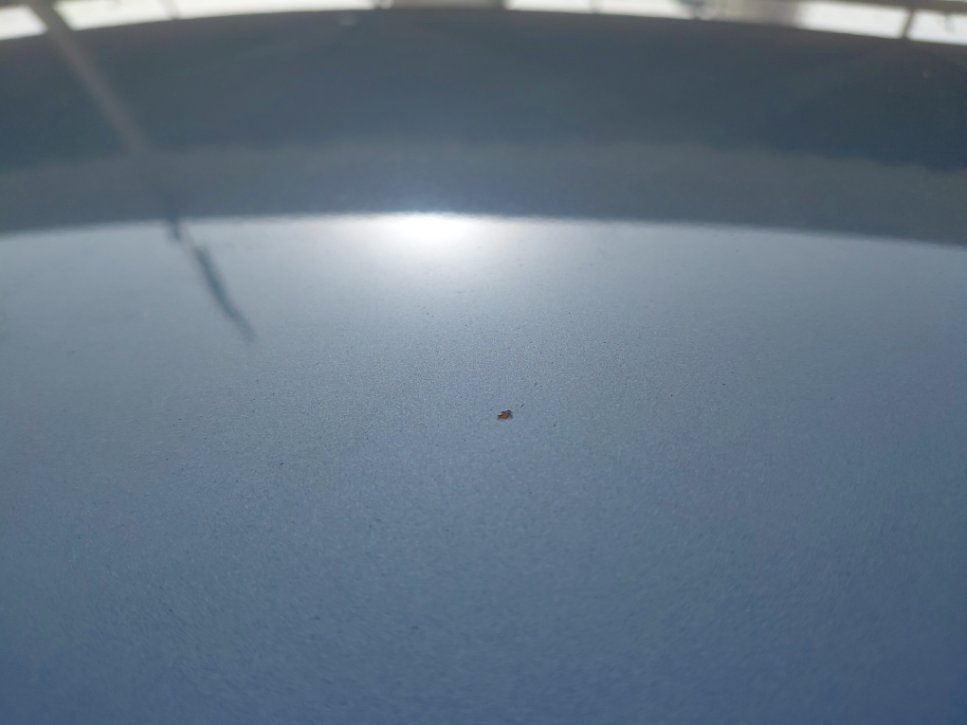 Toyota Corolla Cross LE HEV 2023 image