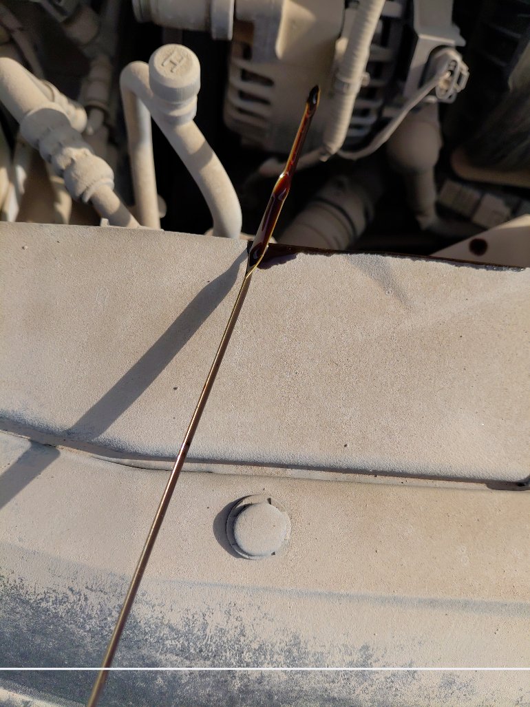 هيونداي إلنترا FLEET 2022 image