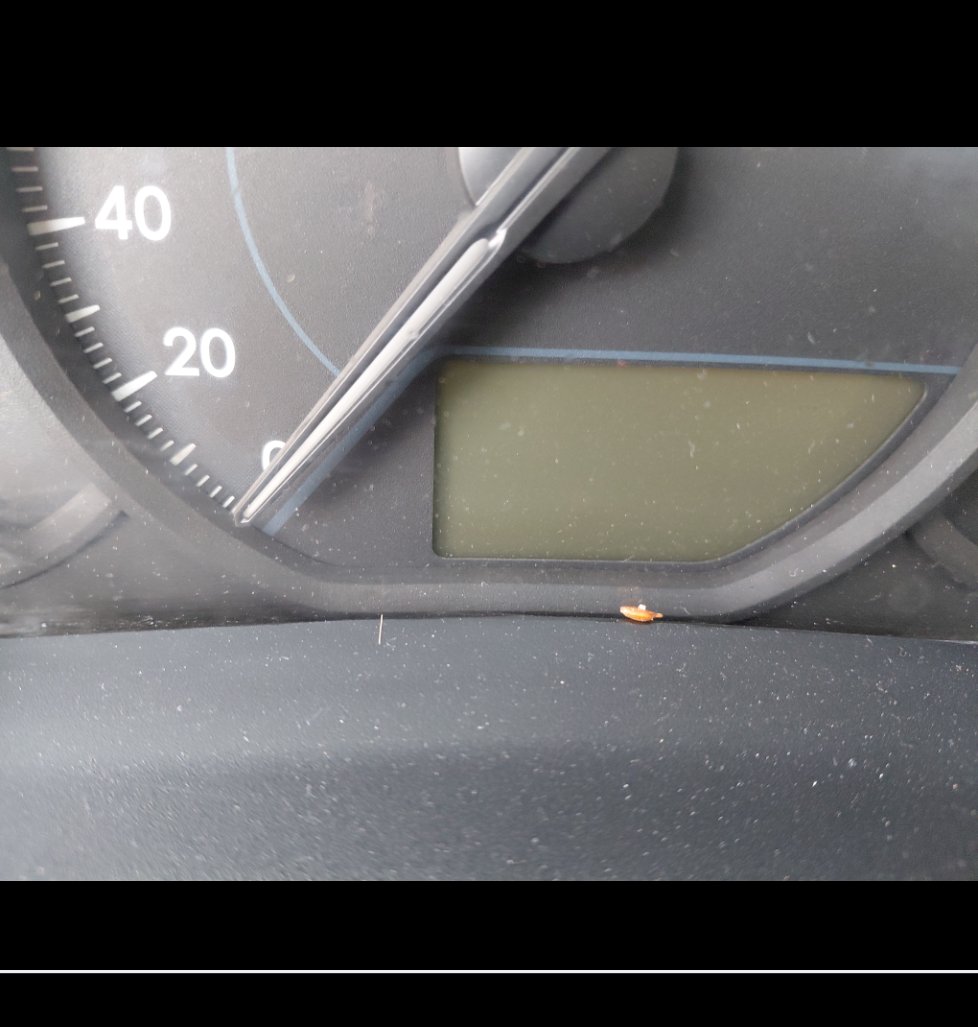 تويوتا يارس Y FLT 2021 image